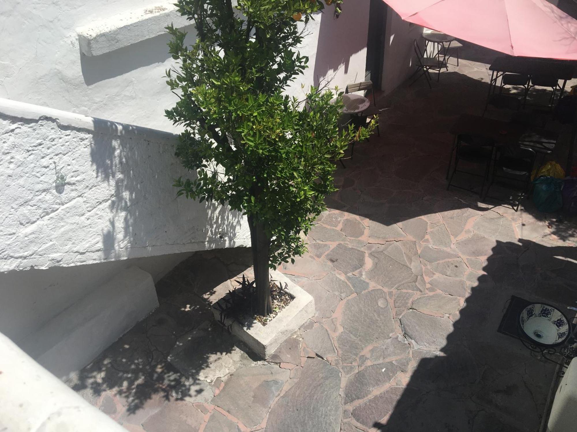 Patio Alojamiento 圣米格尔－德阿连德 外观 照片